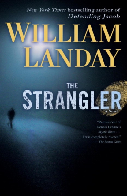 Book Cover for Strangler by William Landay