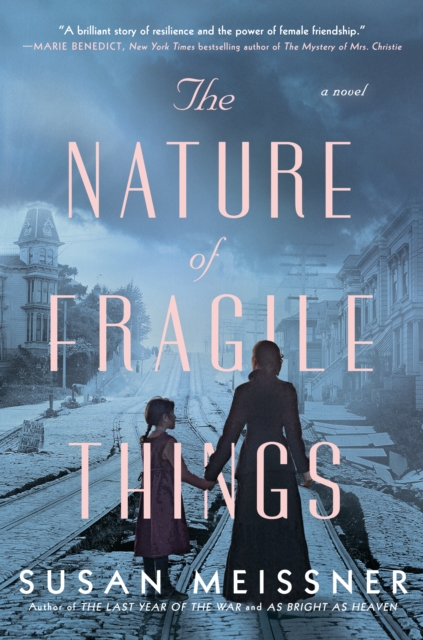 Book Cover for Nature of Fragile Things by Susan Meissner