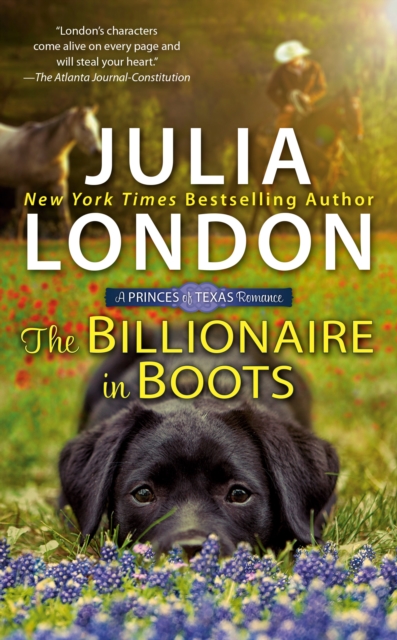 Book Cover for Billionaire in Boots by Julia London