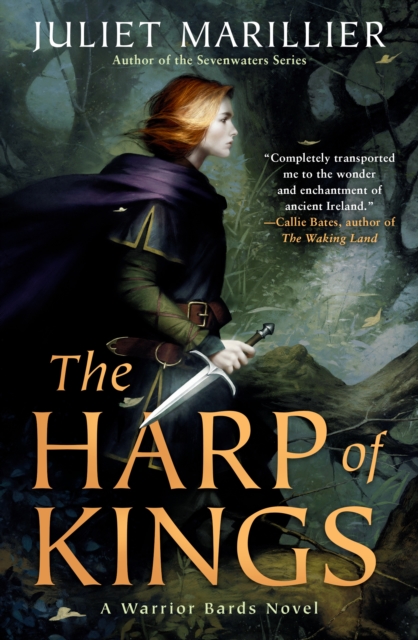Book Cover for Harp of Kings by Juliet Marillier