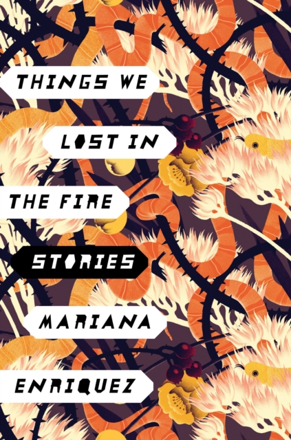 Book Cover for Things We Lost in the Fire by Enriquez, Mariana