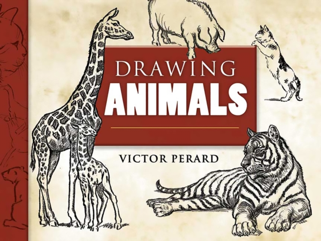 Book Cover for Drawing Animals by Victor Perard