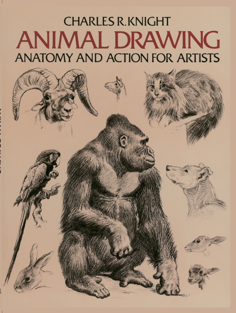 Book Cover for Animal Drawing by Charles Knight