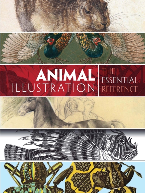 Book Cover for Animal Illustration: The Essential Reference by Carol Belanger Grafton