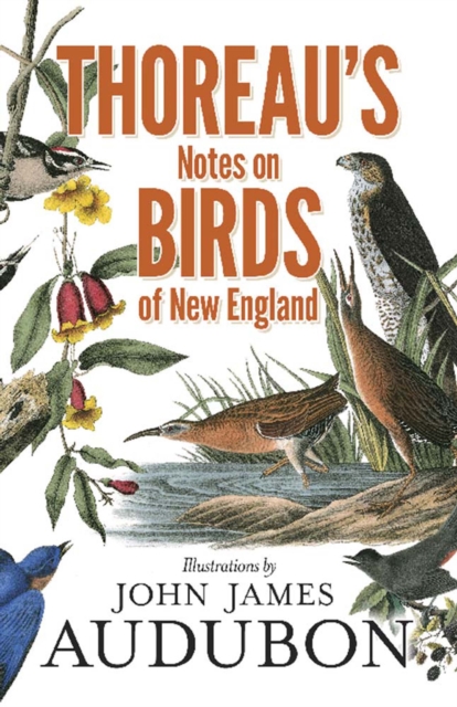 Book Cover for Thoreau's Notes on Birds of New England by Henry David Thoreau