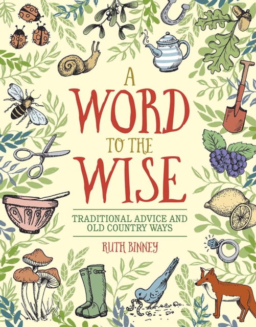 Book Cover for Word to the Wise by Ruth Binney