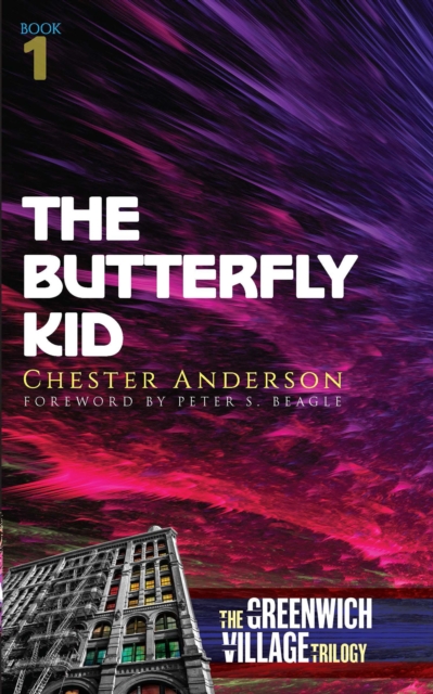 Book Cover for Butterfly Kid by Chester Anderson