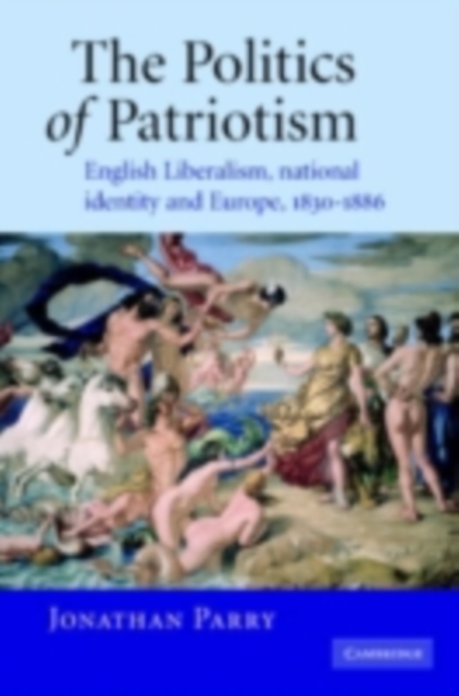 Book Cover for Politics of Patriotism by Jonathan Parry