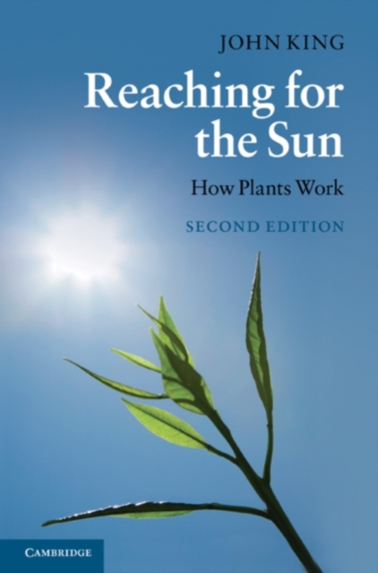 Book Cover for Reaching for the Sun by King, John