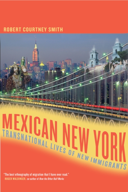 Book Cover for Mexican New York by Robert Smith