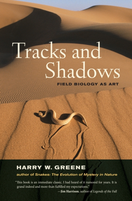 Book Cover for Tracks and Shadows by Harry W. Greene