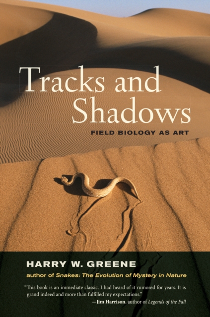 Book Cover for Tracks and Shadows by Greene, Harry W.