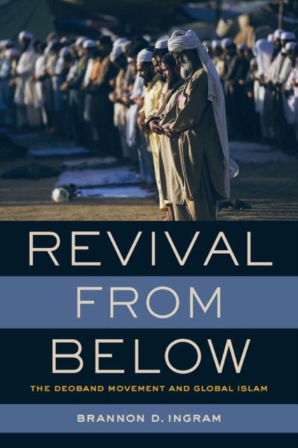 Book Cover for Revival from Below by Brannon D. Ingram