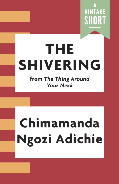 Book Cover for Shivering by Chimamanda Ngozi Adichie