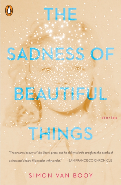 Book Cover for Sadness of Beautiful Things by Simon Van Booy