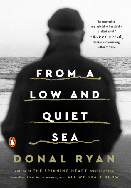 Book Cover for From a Low and Quiet Sea by Ryan, Donal