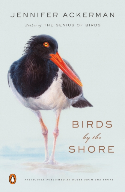 Book Cover for Birds by the Shore by Jennifer Ackerman