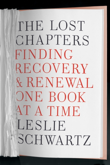 Book Cover for Lost Chapters by Leslie Schwartz