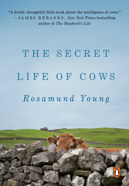 Book Cover for Secret Life of Cows by Young, Rosamund