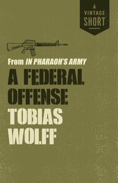 Book Cover for Federal Offense by Wolff, Tobias