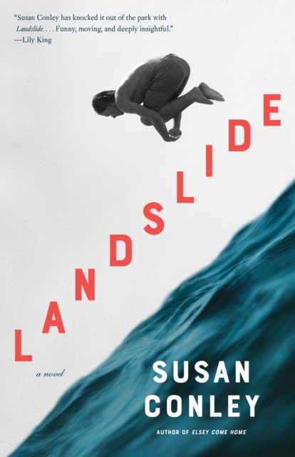 Book Cover for Landslide by Susan Conley