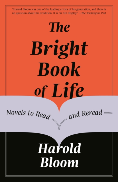 Book Cover for Bright Book of Life by Harold Bloom