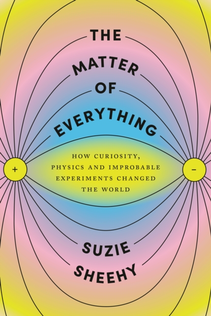 Book Cover for Matter of Everything by Sheehy, Suzie