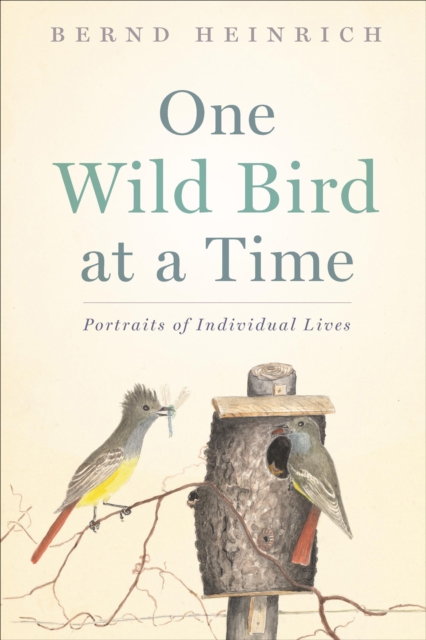 Book Cover for One Wild Bird at a Time by Bernd Heinrich