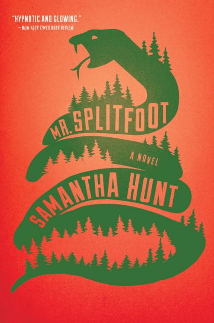 Book Cover for Mr. Splitfoot by Samantha Hunt