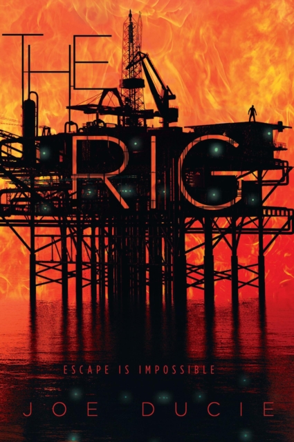 Book Cover for Rig by Joe Ducie
