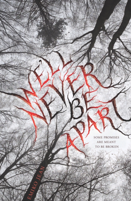 Book Cover for We'll Never Be Apart by Emiko Jean