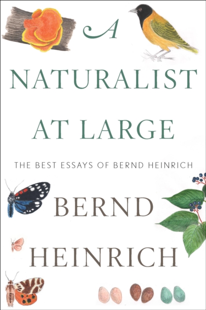 Book Cover for Naturalist at Large by Bernd Heinrich