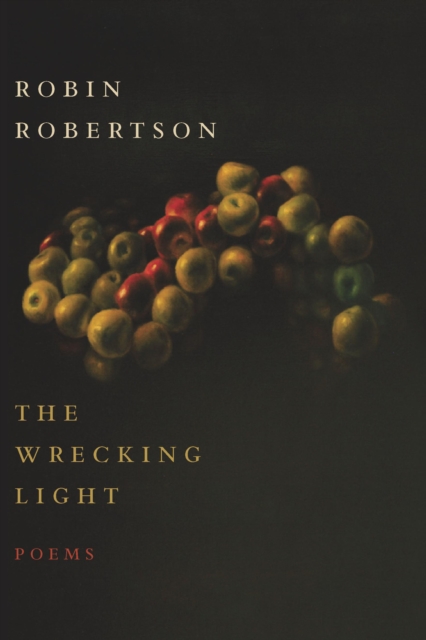 Book Cover for Wrecking Light by Robertson, Robin