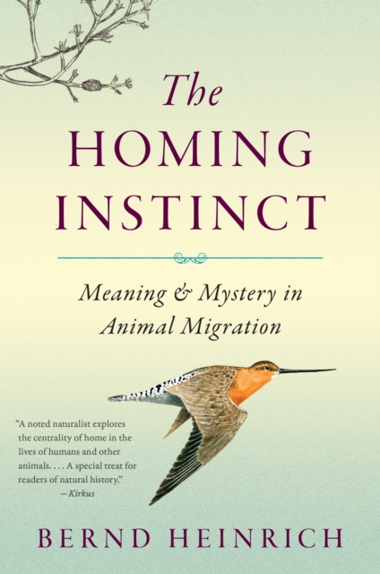 Book Cover for Homing Instinct by Bernd Heinrich