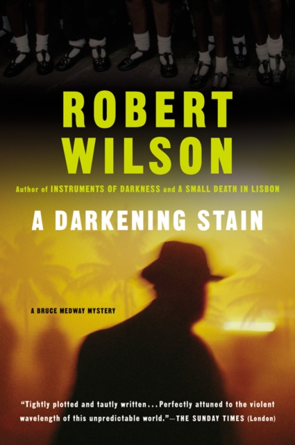 Book Cover for Darkening Stain by Robert Wilson