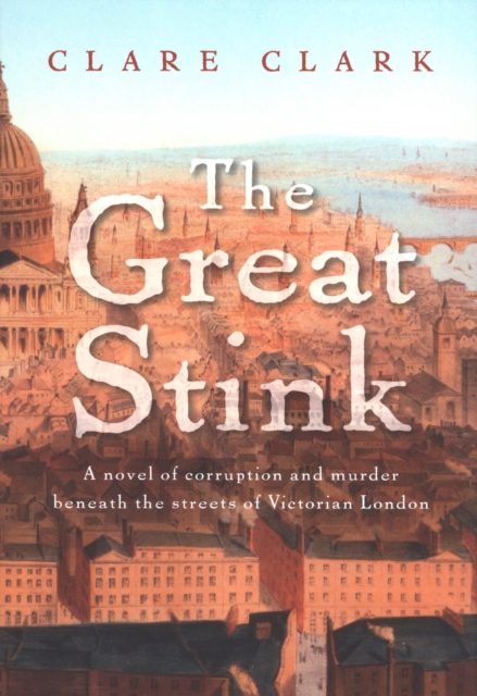 Book Cover for Great Stink by Clare Clark