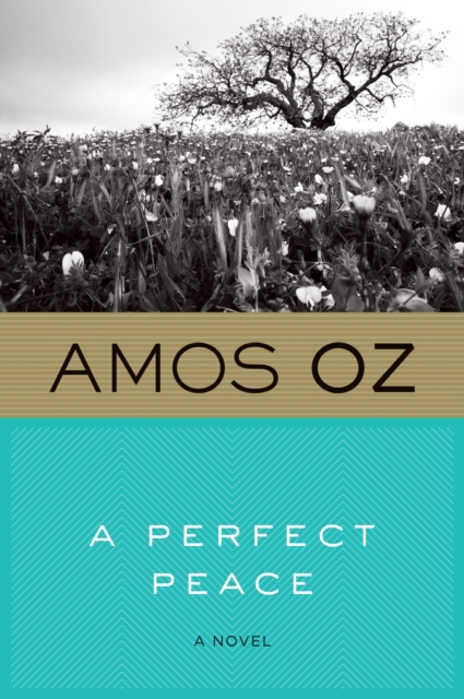 Book Cover for Perfect Peace by Amos Oz