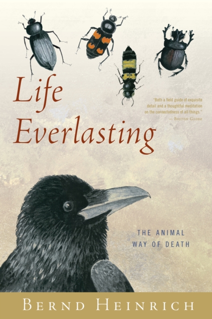 Book Cover for Life Everlasting by Bernd Heinrich