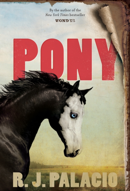 Book Cover for Pony by Palacio, R. J.