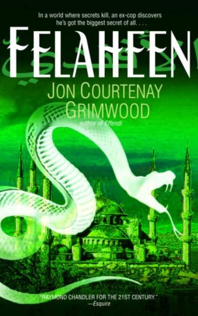 Book Cover for Felaheen by Jon Courtenay Grimwood