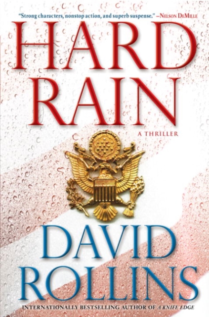 Book Cover for Hard Rain by David Rollins