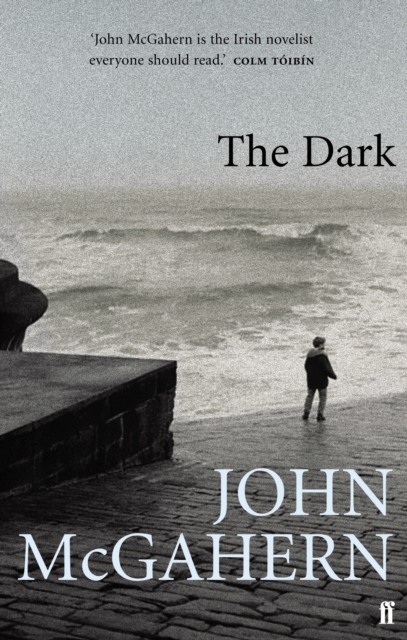 Book Cover for Dark by John McGahern