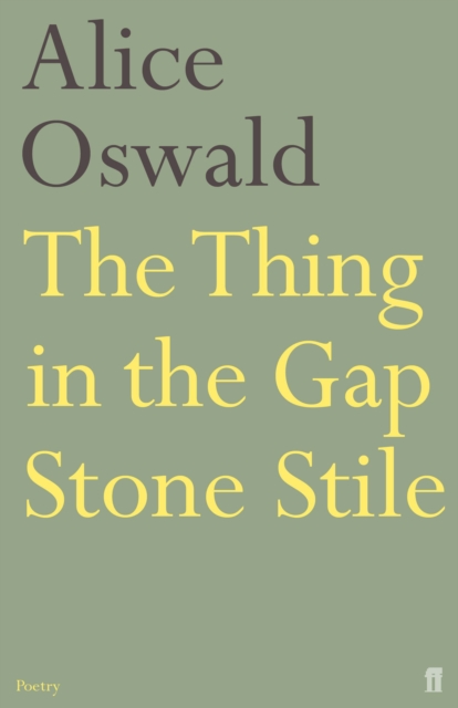 Book Cover for Thing in the Gap Stone Stile by Oswald, Alice