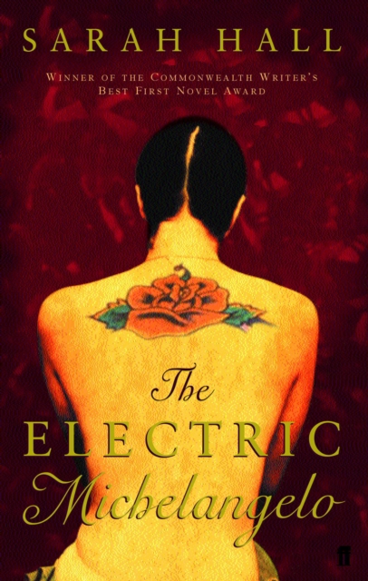 Book Cover for Electric Michelangelo by Hall, Sarah