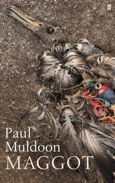 Book Cover for Maggot by Muldoon, Paul