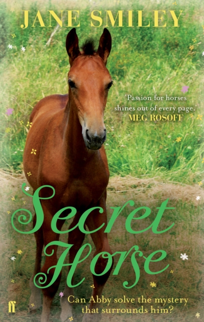 Book Cover for Secret Horse by Jane Smiley