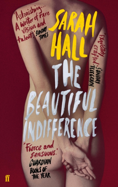 Book Cover for Beautiful Indifference by Hall, Sarah