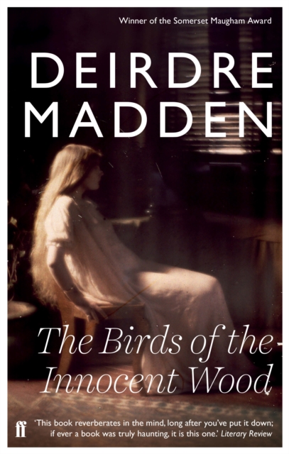 Book Cover for Birds of the Innocent Wood by Deirdre Madden