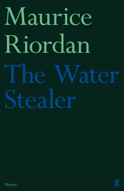 Book Cover for Water Stealer by Maurice Riordan