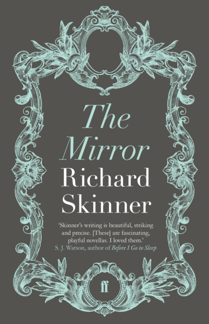 Book Cover for Mirror by Skinner, Richard